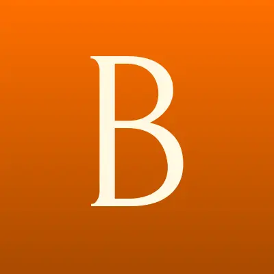 Бизнес Технологии, аудиторская компания, лого-визитка
