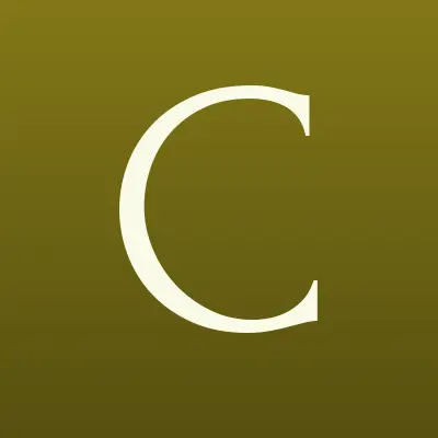 CLEANING PROFI, лого-визитка