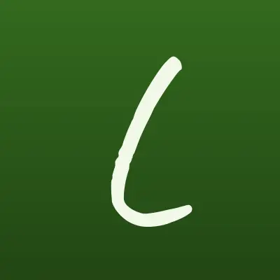 ЛУЧШИЕ ОКНА, торгово-производственная фирма, лого-визитка