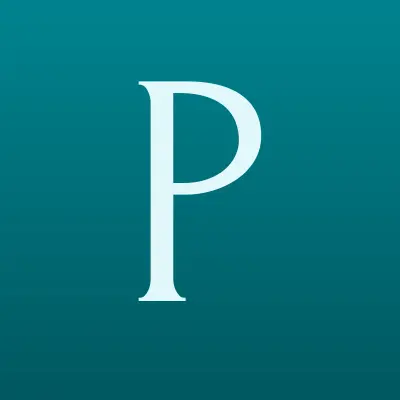 PolishPro, детейлинг-центр, лого-визитка