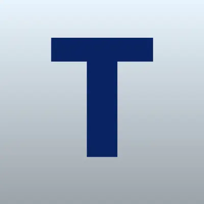 Technics Service Team, автосервис, лого-визитка