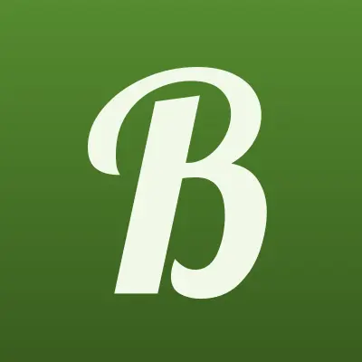 Барский Пар