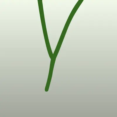 Юрист Токан В. С.